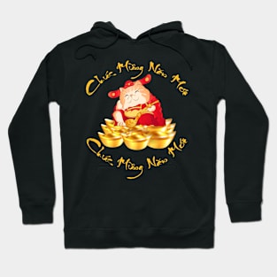 Chuc Mung Nam Moi Happy Vietnamese Lunar New Year 2023 Cat Hoodie